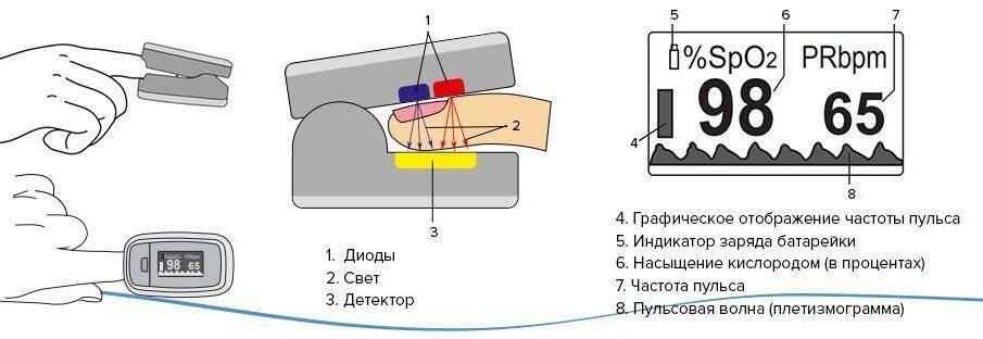 схема измерения уровня содержания кислорода в крови по пальцу